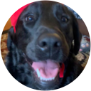 Denise O'Neill profile picture