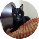 Gerry Mcdonald profile picture