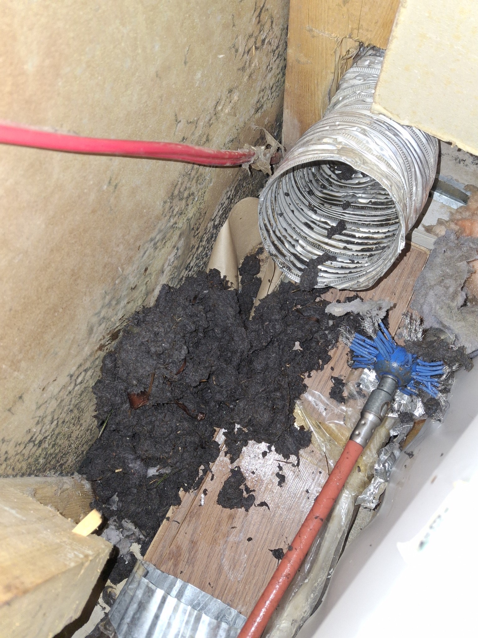 Excessive Moisture in Dryer Vents