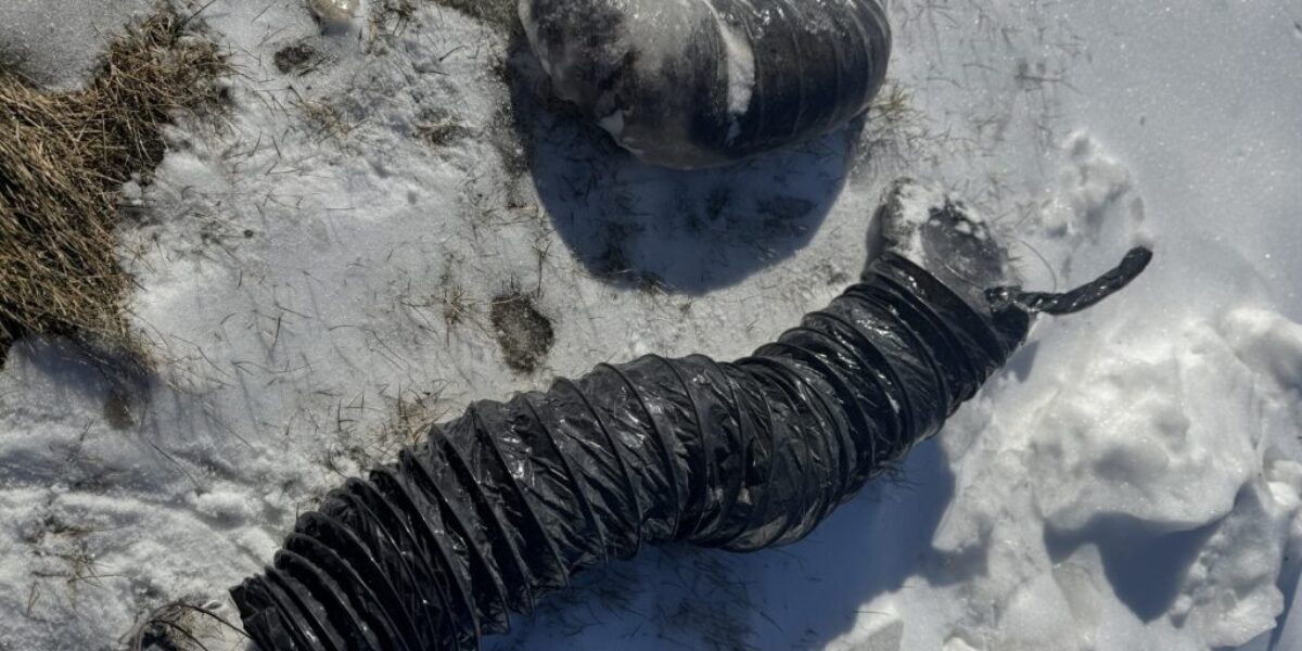 Dryer Fires: The Hidden Danger Lurking in Your Laundry Room – And How Newfoundland’s Weather Makes It Worse